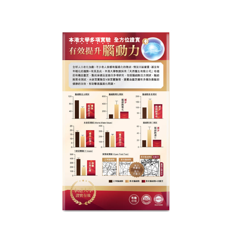MASTER MED Brain Up 45pcs