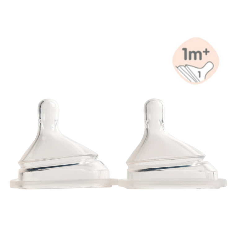 Hegen Teat Slow Flow 2pcs