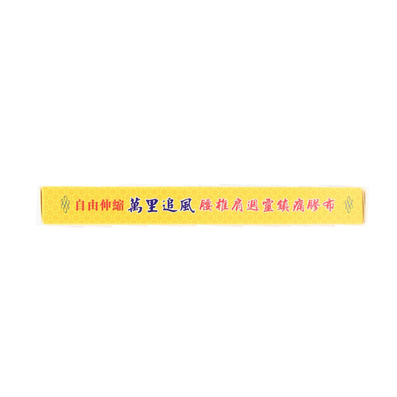 Singapore Medicine Man Li Chui Fon Pain-Killer Medicated Plaster 10pcs