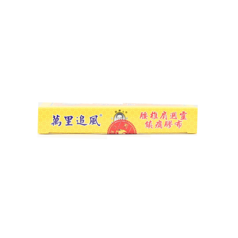 Singapore Medicine Man Li Chui Fon Pain-Killer Medicated Plaster 10pcs