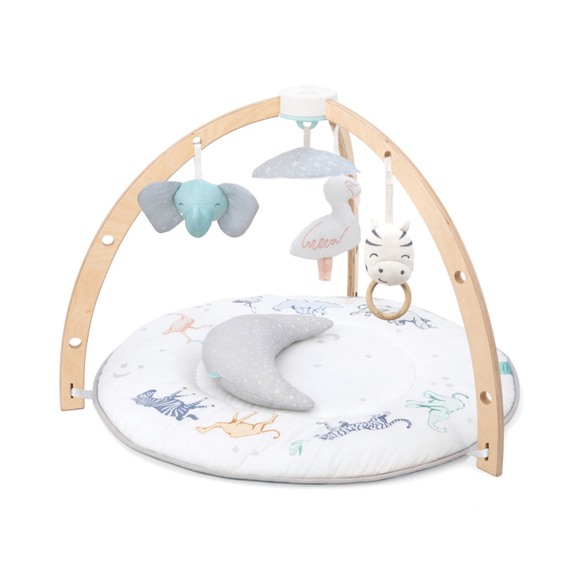 Aden+Anais Play+Discover Activity Gym 1 set