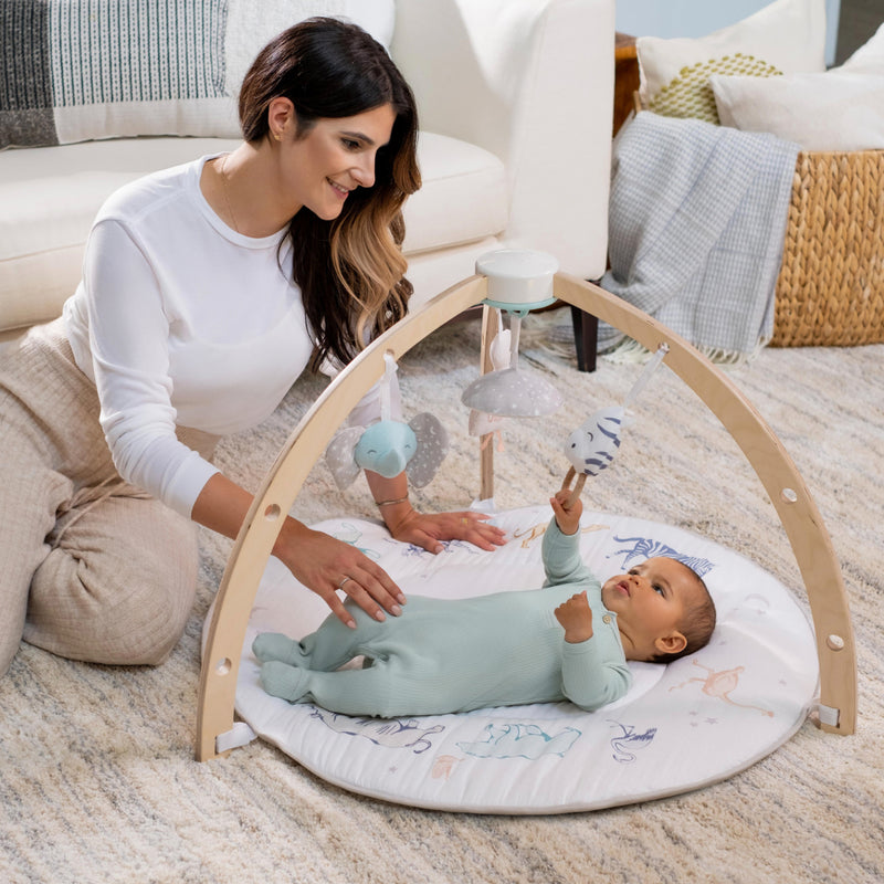 Aden+Anais Play+Discover Activity Gym 1 set