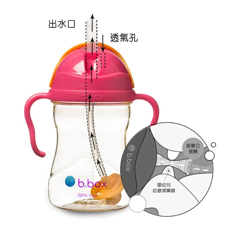 b.box PPSU Sippy Cup (Pink Orange) 240ml