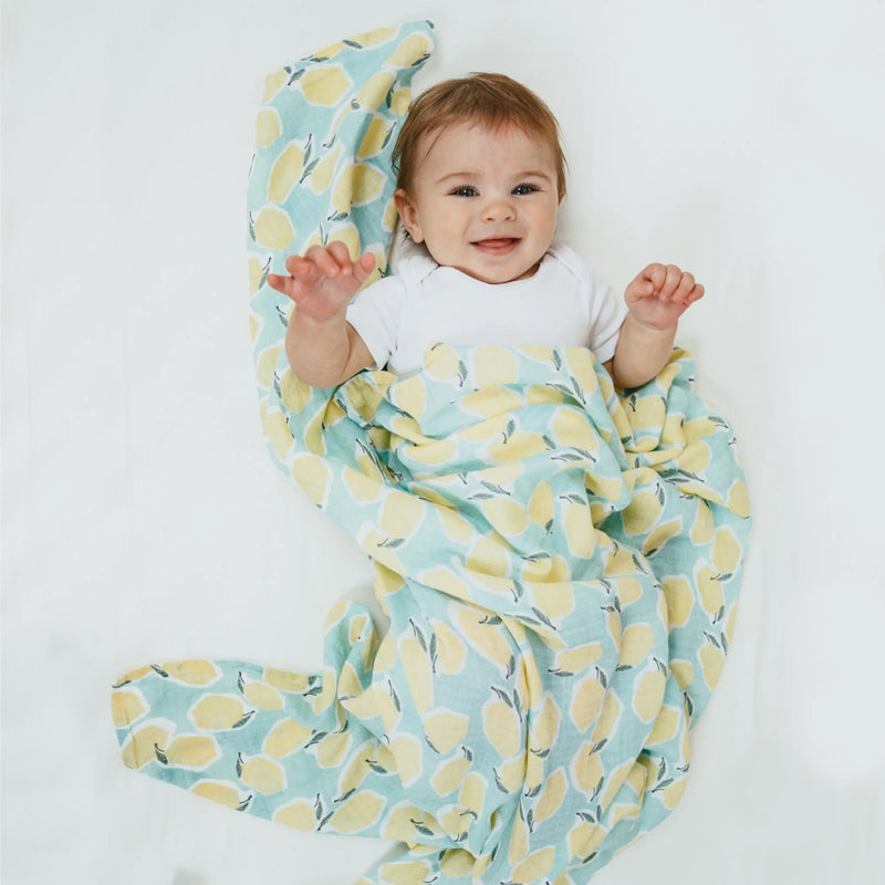Aden+Anais Essential Swaddle(Farm To Table) 4pcs